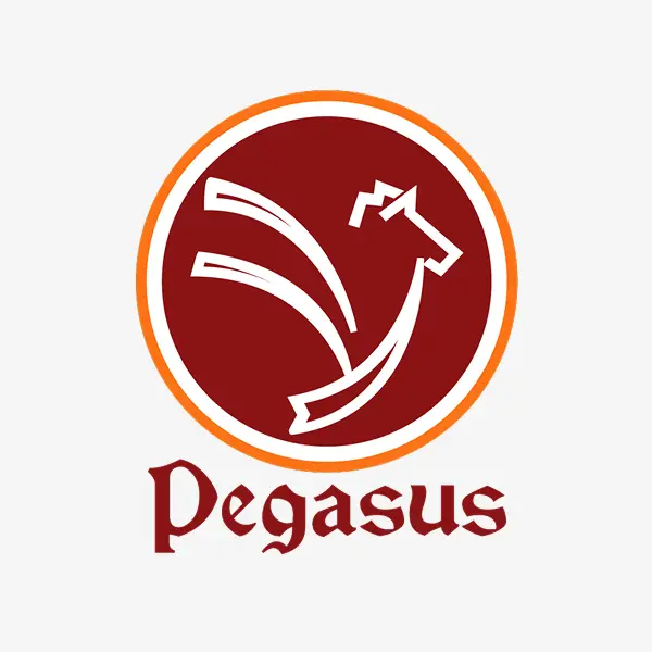 Pegasus Consultancy